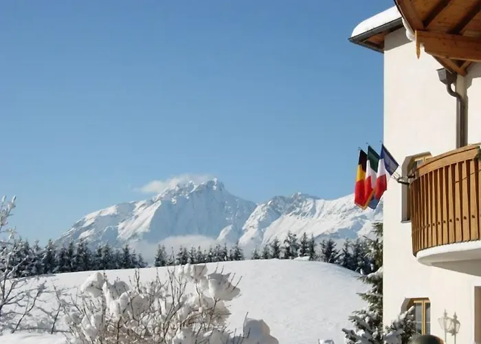 Geisler 4* تولفيس