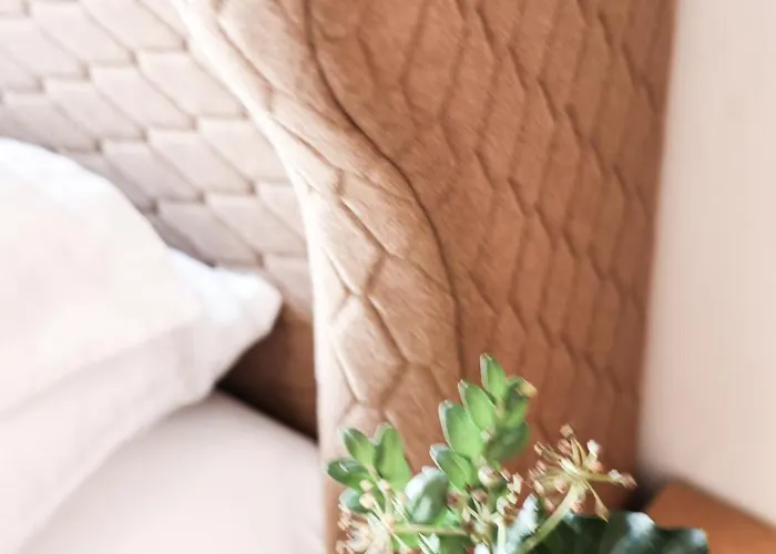 بيت ضيافة Geisler تولفيس